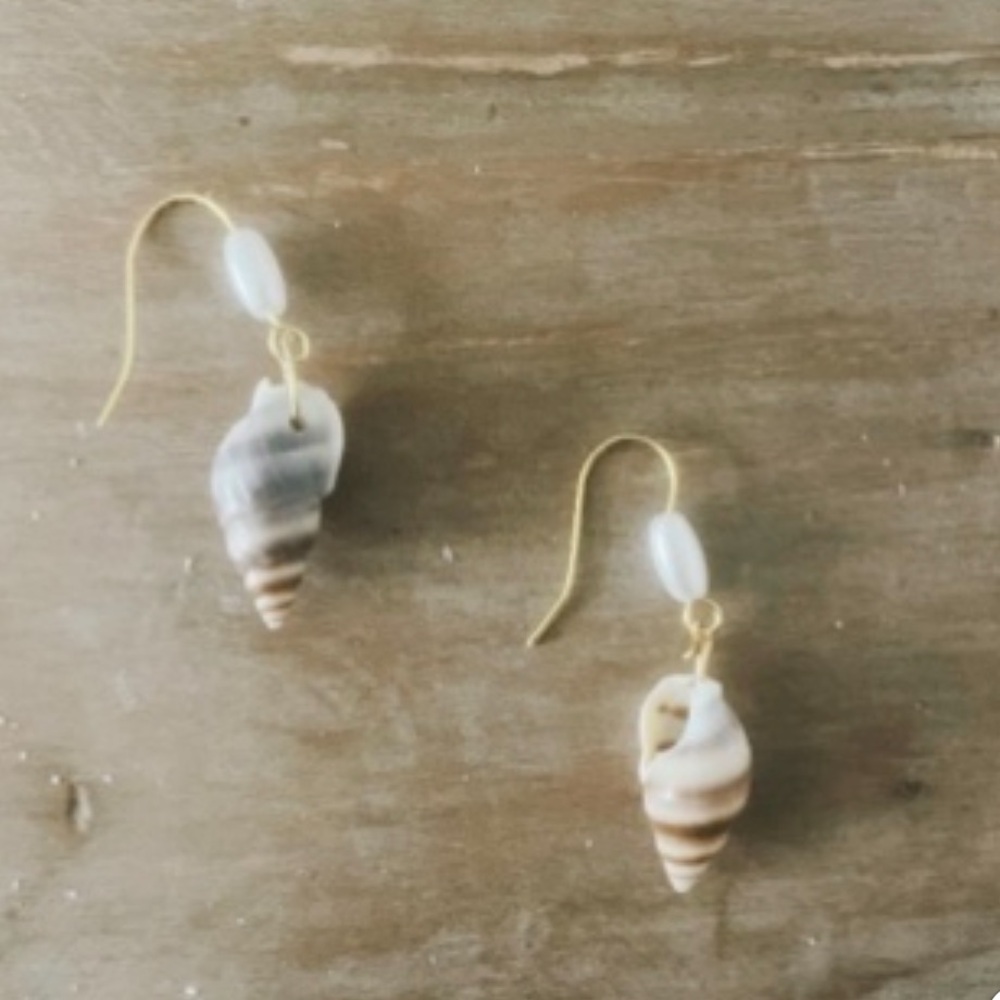 Gold and Cream Shell Earrings